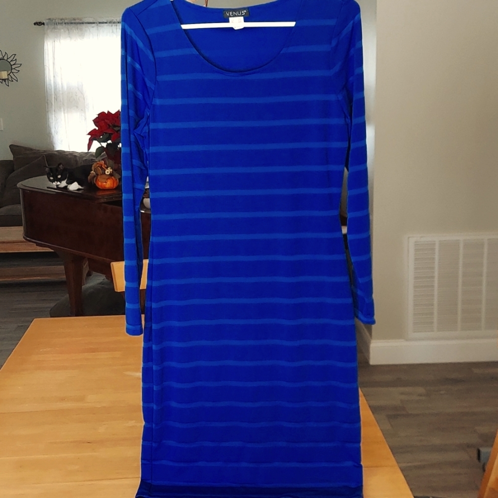 Venus Form Fitting Dress
